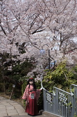 2013_0401_122640AAa.jpg