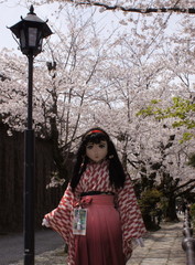 2013_0401_122940AAa.jpg