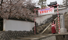 2013_0401_131346AAa.jpg