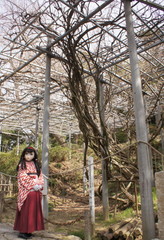 2013_0401_142900AAa.jpg