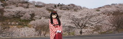 2013_0401_161720AAa.jpg