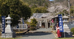 2013_0403_142642AAa.jpg