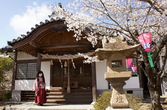 2013_0403_143044AAa.jpg