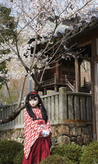 2013_0403_143512AAa.jpg