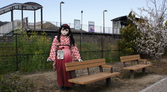 2013_0403_151922AAa.jpg