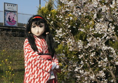 2013_0403_154913AAa.jpg