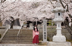 2013_0404_164220AAa.jpg