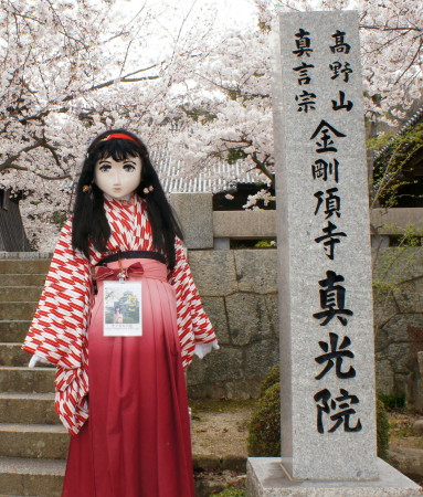 2013_0404_164409AAa.jpg