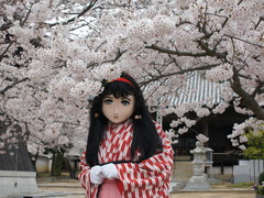 2013_0404_170830AAa.jpg