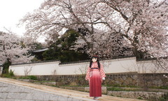 2013_0404_171700AAa.jpg