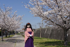 2013_0405_105738AAa.jpg