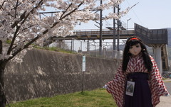 2013_0405_105835AAa.jpg