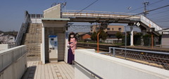 2013_0405_110343AAa.jpg