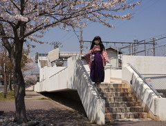 2013_0405_110946AAa.jpg
