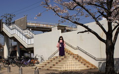 2013_0405_111120AAa.jpg