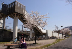 2013_0405_111414AAa.jpg