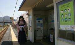 2013_0405_120030AAa.jpg