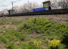 2013_0405_120640AAa.jpg
