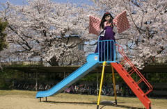 2013_0405_121020AAa.jpg