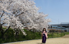 2013_0405_122350AAa.jpg