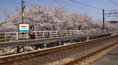 2013_0405_131150AAa.jpg