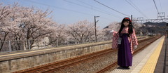 2013_0405_132030AAa.jpg