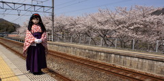 2013_0405_132136AAa.jpg
