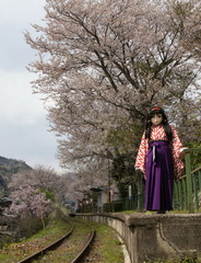 2013_0410_135320AAa.jpg