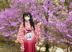 2013_0417_155238AAa.jpg