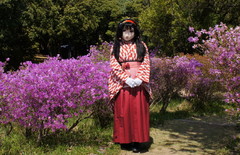 2013_0422_124636AAa.jpg