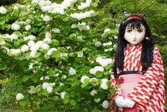 2013_0427_172648AAa.jpg