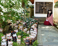 2013_0428_095708AAa.jpg