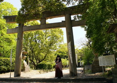 2013_0428_124412AAa.jpg