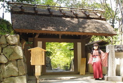 2013_0428_132202AAa.jpg