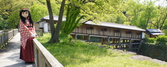2013_0428_133930AAa.jpg