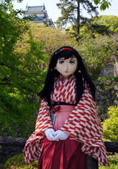 2013_0428_145206AAa.jpg