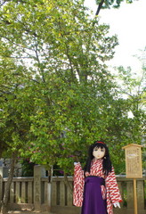 2013_0502_151834AAa.jpg