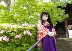 2013_0502_152506AAa.jpg