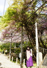 2013_0502_155512AAa.jpg