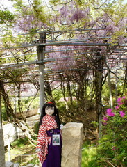 2013_0502_160352AAa.jpg