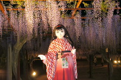 2013_0507_204046AAa.jpg