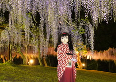 2013_0507_204934AAa.jpg