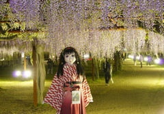2013_0507_205034AAa.jpg