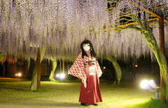 2013_0507_210210AAa.jpg