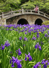 2013_0515_120608AAa.jpg