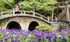 2013_0515_122328AAa.jpg