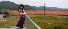 2013_0515_132636AAa.jpg