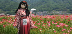 2013_0515_133530AAa.jpg