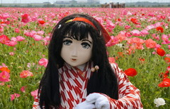 2013_0515_135908AAa.jpg