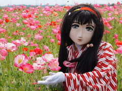 2013_0515_142402AAa.jpg